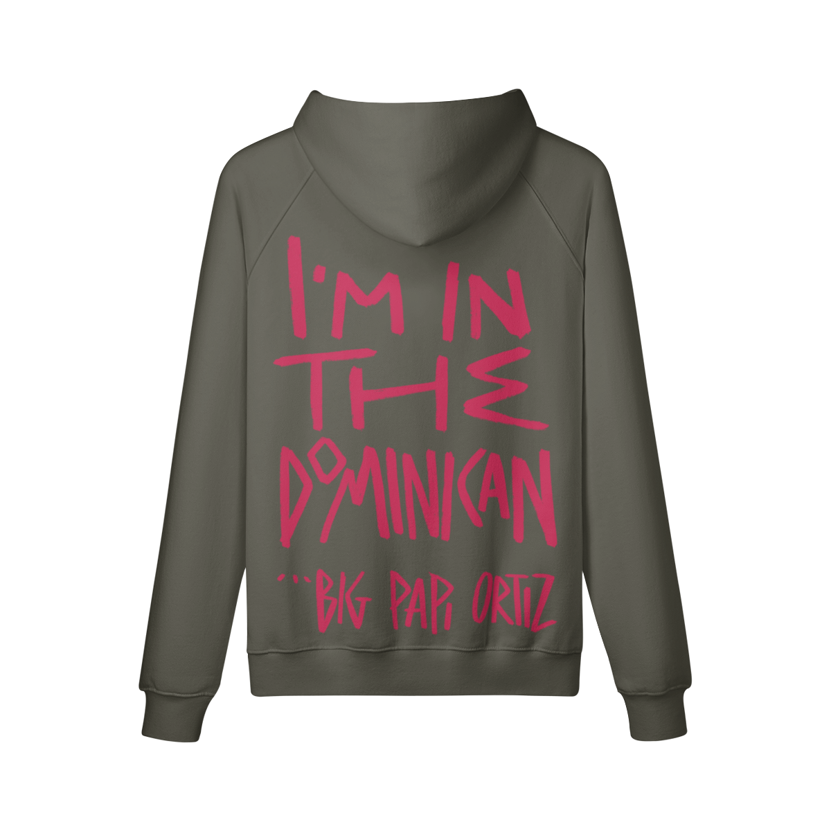 "I'm In The Dominican" Oversized Heavyweight Premium Hoodie