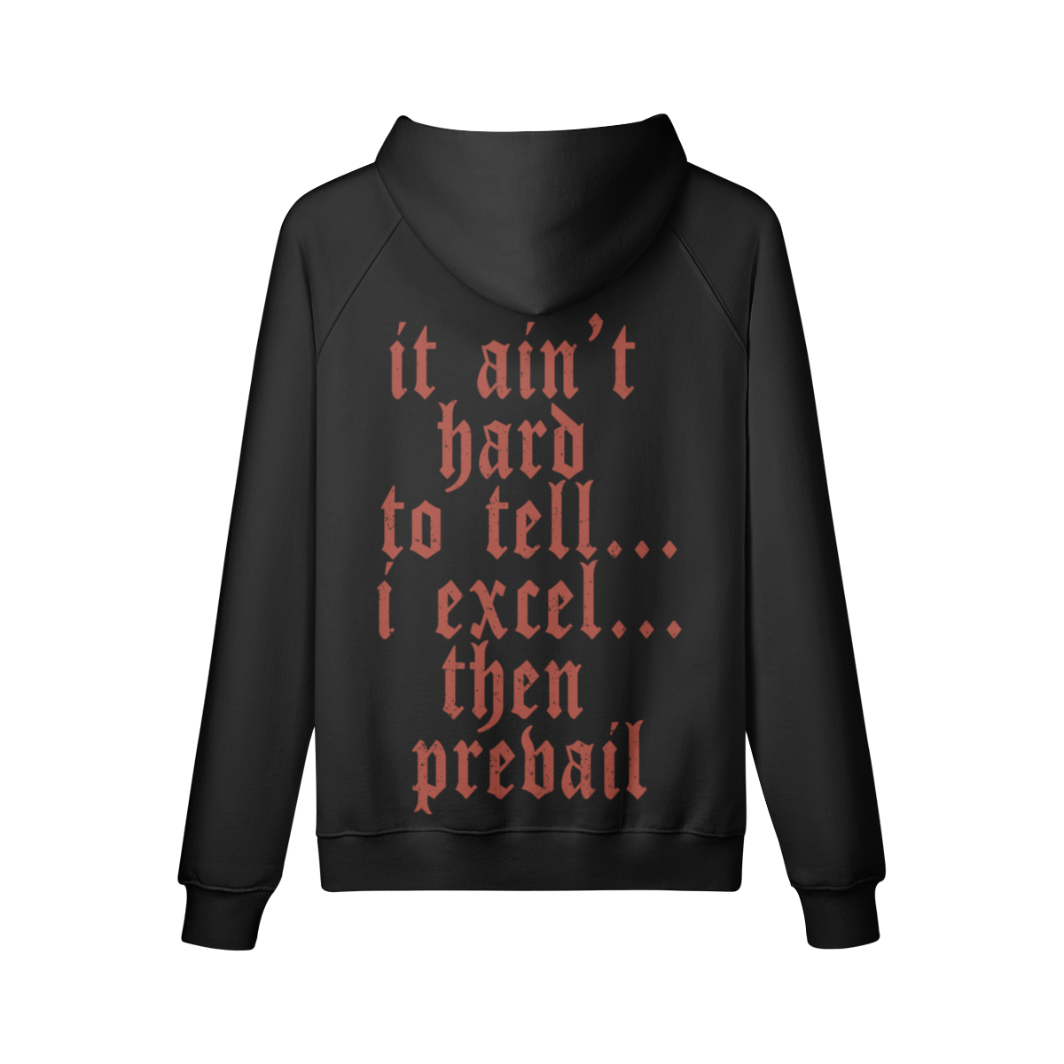 "It Ain't Hard To Tell" Oversized Heavyweight Premium Hoodie